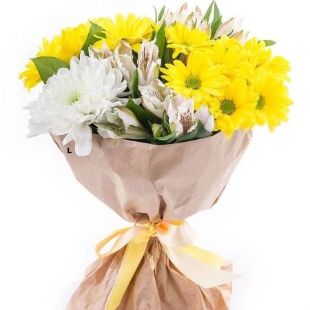 Солнечный луч